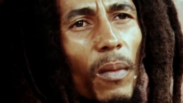 Новые товарные предложения