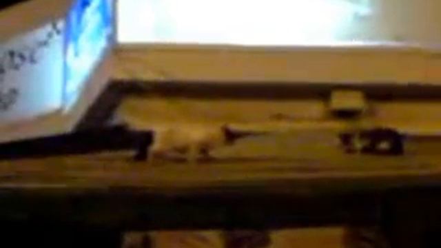 F8a42e4af50406aa18a0b5138b9630c1