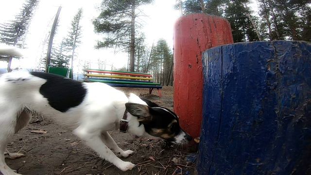 2022 05 Прогулка по Ленску