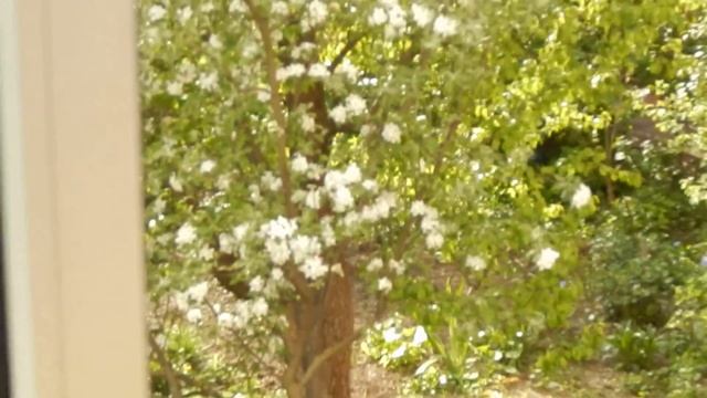 Зум никон L820