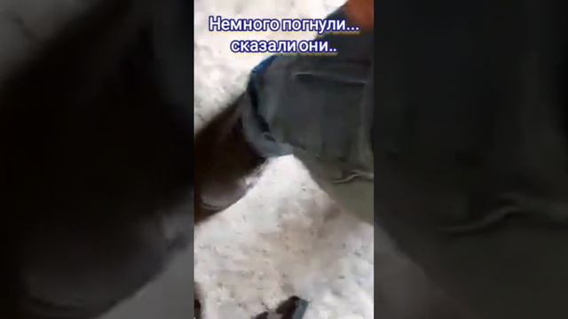 13d11859fc143307114c1d75d1de7899