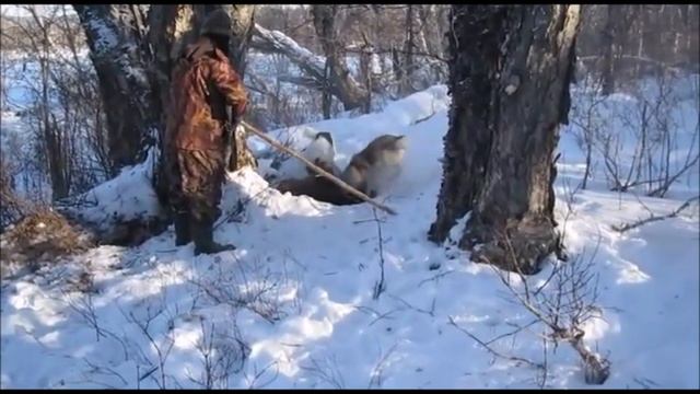 Жизнь в Биосфере