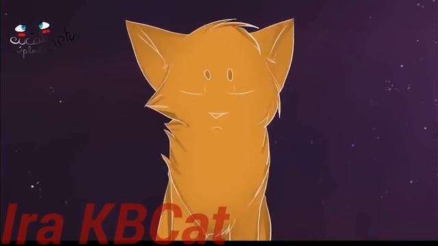 Коты Воители Ангел или Бес