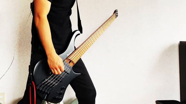 Architects - Modern Misery  ||  Bass Cover