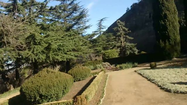 Ната в стране чудес  B-)