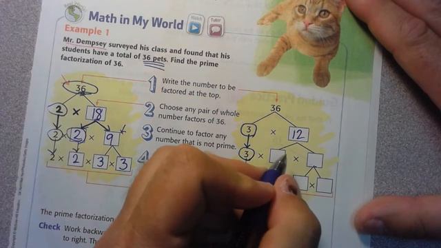 Ch. 2 Lesson 1 Workbook Pages 73-86