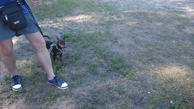 Эник. Защита. Первое занятие.