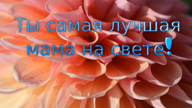 Душевное поздравление . С днем рождения , мамочка ! Видео открытка для мамы