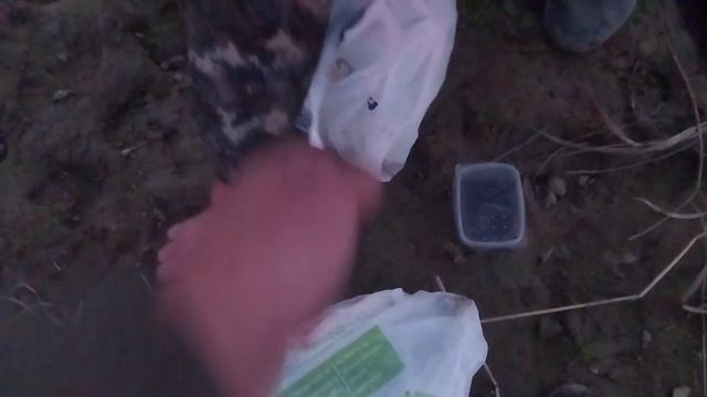 E245e5f9661b707e269069a22cc16b71