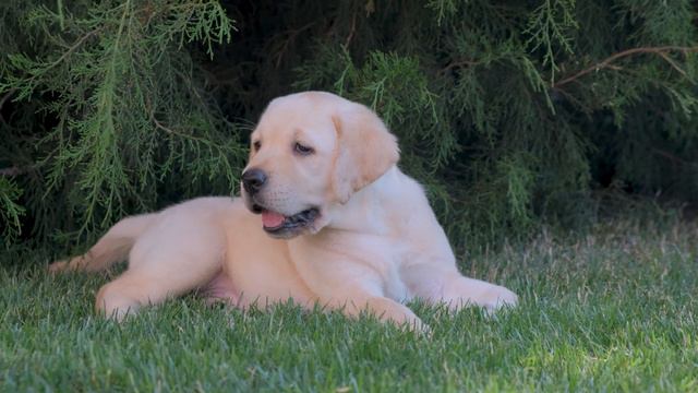 B0323a947932f7ff3b9d33b740c7ae35