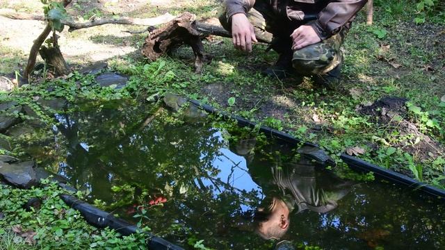 Фотоохота в сентябре 2023