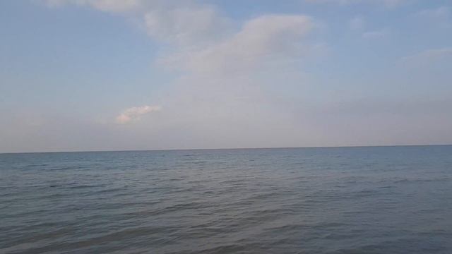 18.08.2016 пляж Витязево появилась тина. Но только возле берега