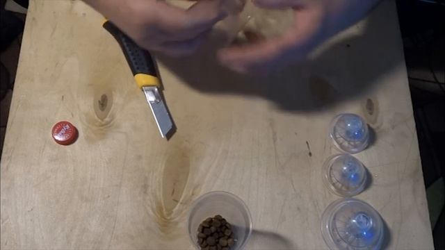 Ампулярии ,продолжение. Убираем 