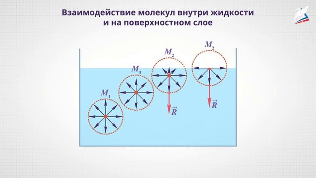 Жидкости и твердые тела