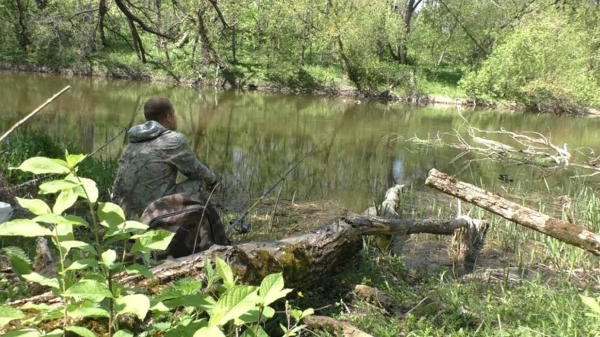 ВЕСЕННЯЯ РЫБАЛКА НА ПОПЛАВОК В МАЕ НА РЕКЕ.