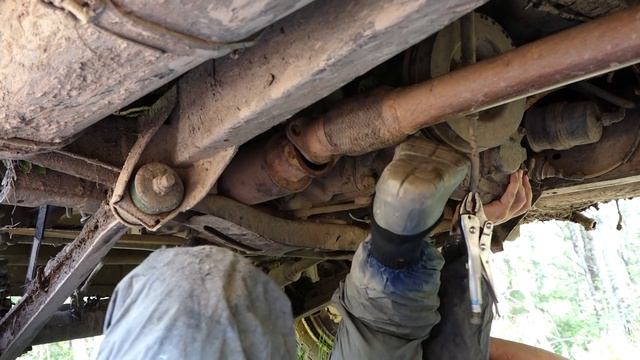 Лесные грибы: секреты природы