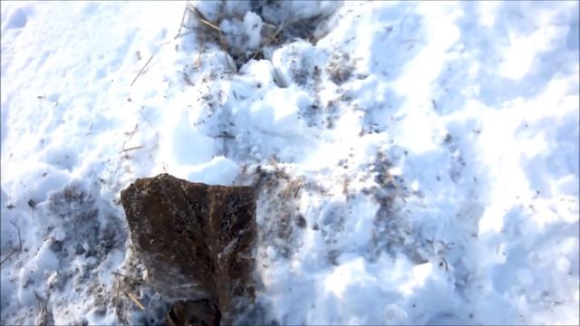 Все деньги в земле нужно только копать! Коп хорошего металлолома 3 февраля