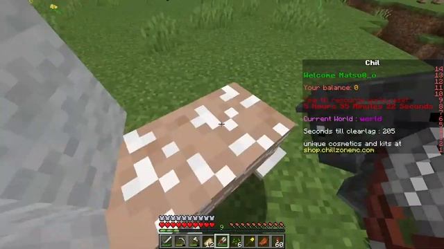 Minecraft ChillZone SMP Livestream #1(Hindi/Eng)