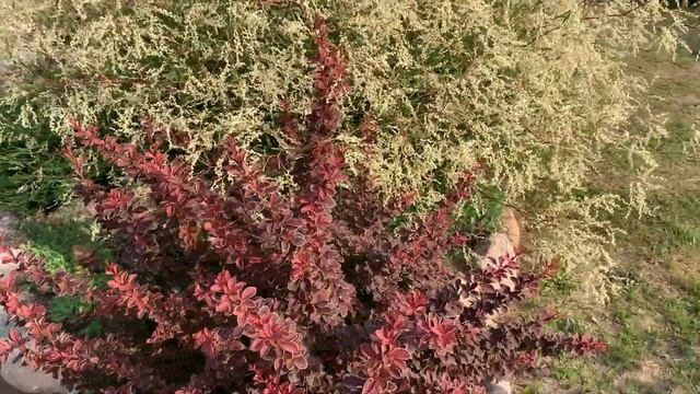 7e4defa979a8b32253fe9969a7445a87