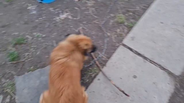 06ea2889550c48fb0059c55acb8b1c63