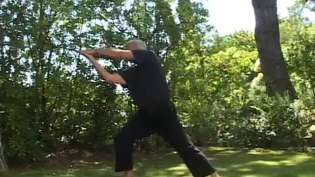 Разминка дракона из книги В Заложнова Жемчежины цигун