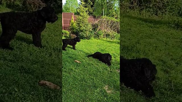 10 июня 2021 г.