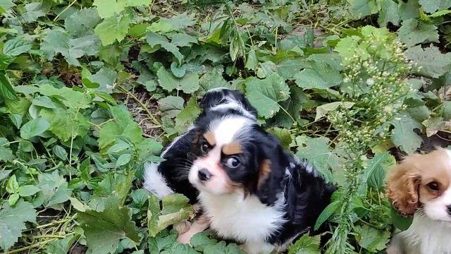 12 сентября 2021 г.