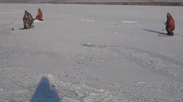 ВИСЛАЯ ДУБРАВА