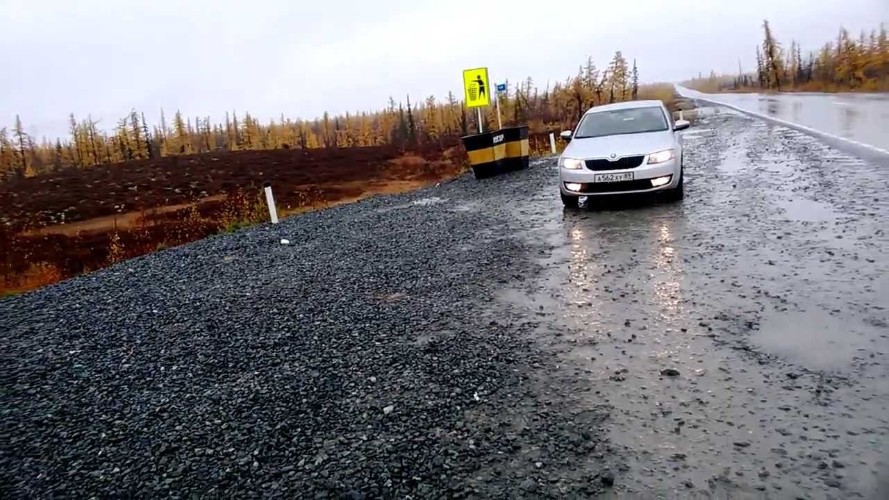 Шкода Октавия А7 на  полярном круге.