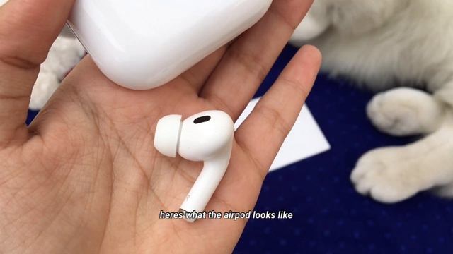 50e56a40f4fa8caccf4e8937b5b43ec7