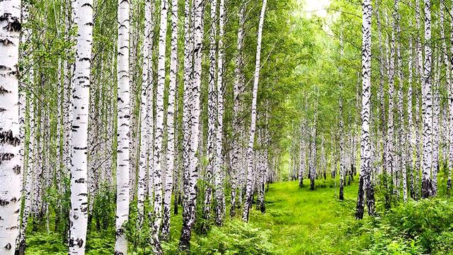 91a37c52c4fcd66be8bbf02a94e602d1