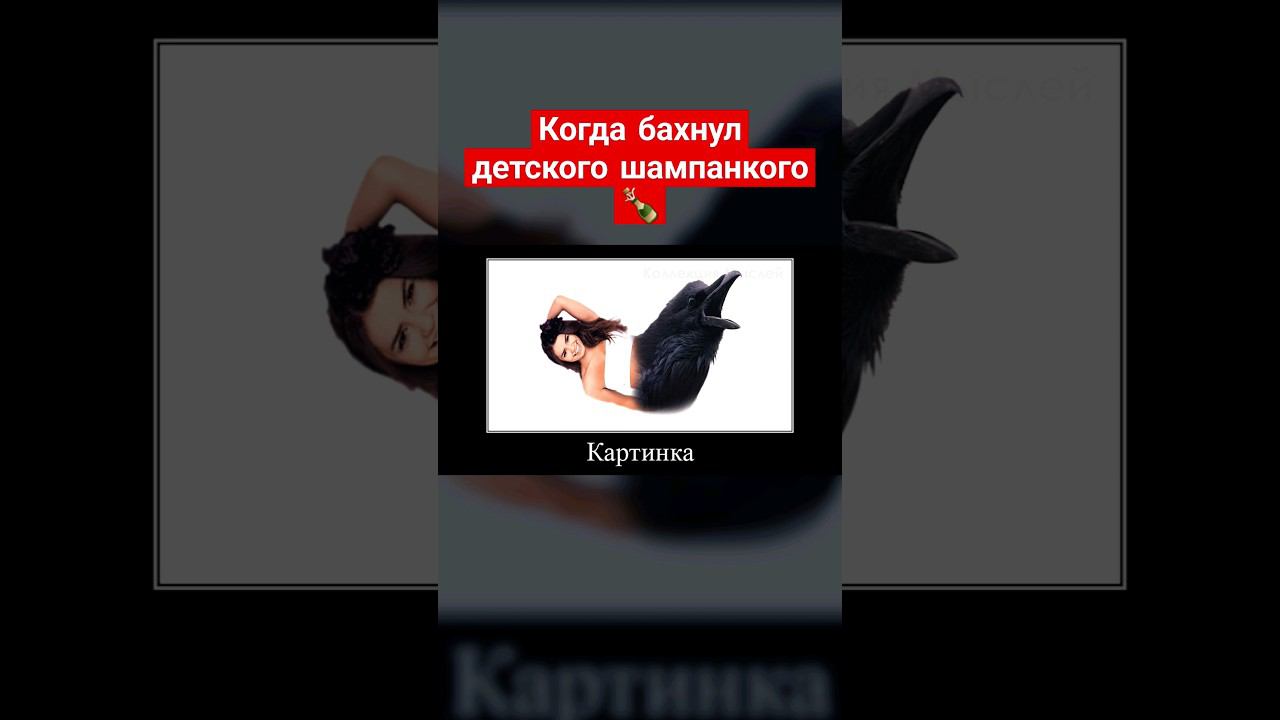 Для тех, у кого IQ 301+  #приколы #memes #meme #мем #юмор #humor #lol