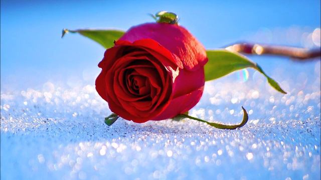 C4712052d091333a907148a56fa25f3b