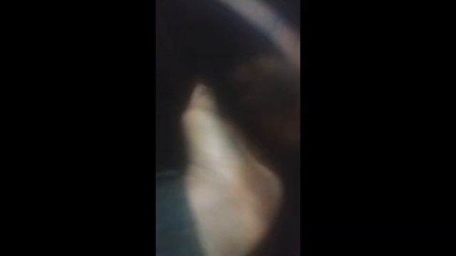 Замена и регулировка сцепления