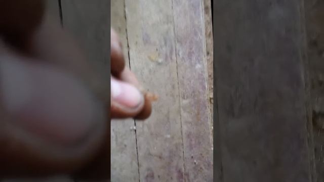 Стиль и Индивидуальность