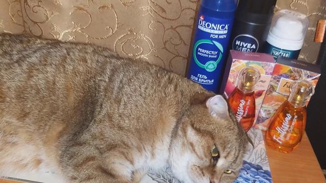 🍇 🍍Парфюмерия!!!Сочные карамельки от Brocard!!!🍎 🍒 🍓