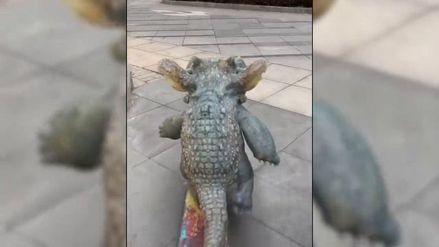 Lucky Baby Dragon | Funny Baby Dragon | Funny Animals Reaction