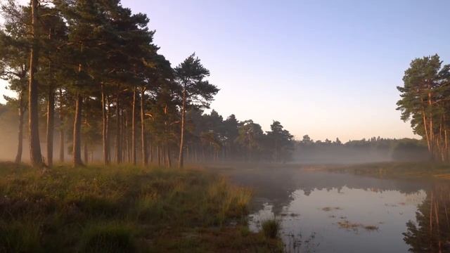 15 Min Of Morning Mediation || Relaxing || Stress Free