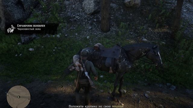 Red Dead Redemption 2 - # 8