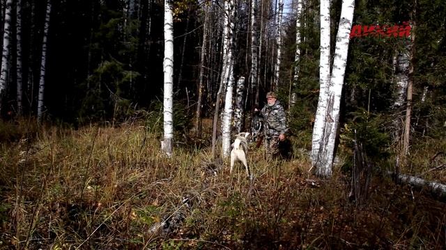 Монолог охотника. Владимир Воронин. Часть 3