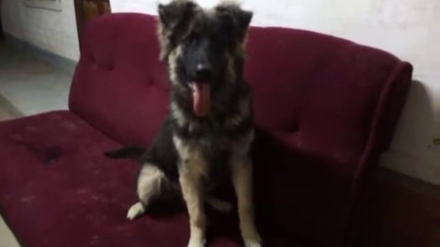 ненавижу 2020 год!!!! ненавижу!!!!!!!