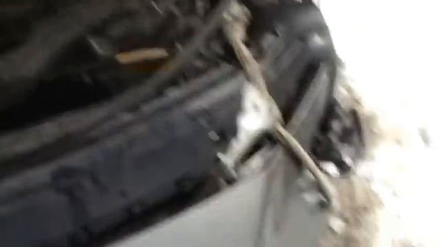 Семейный Оазис