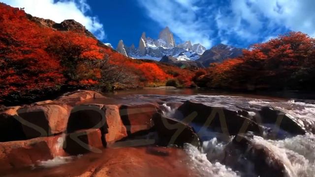 ЕСЛИ КТО-ТО СМОГ, СМОЖЕТЕ И ВЫ