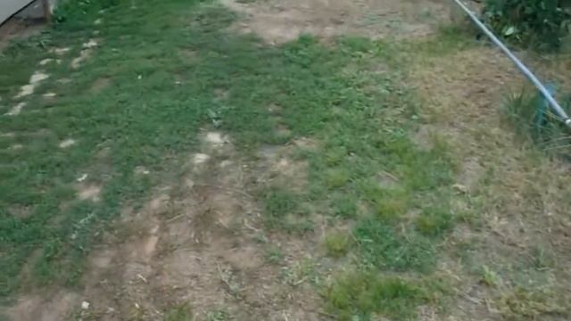 5517b2eacc7ad988cbdf755506c170a9