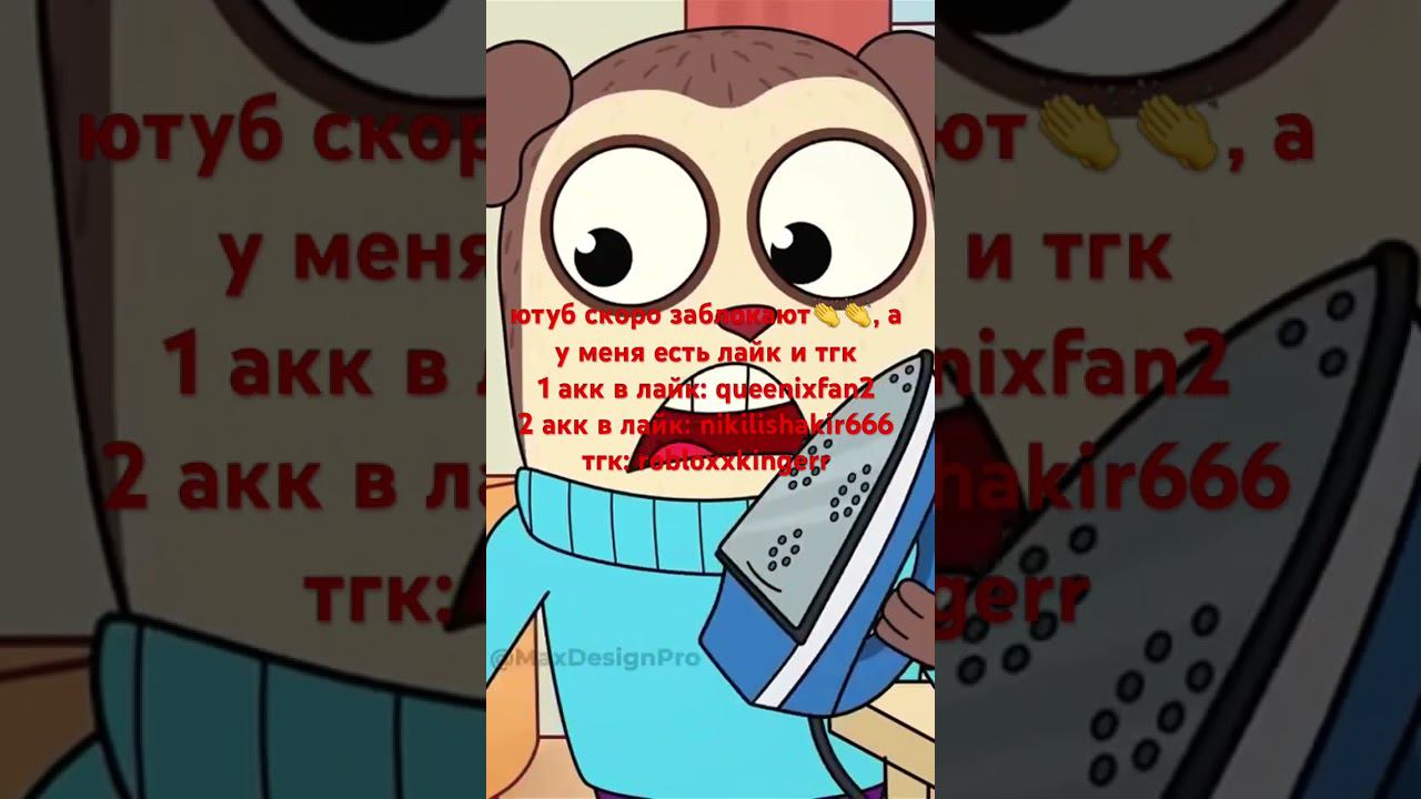 23 августа 2024 г.