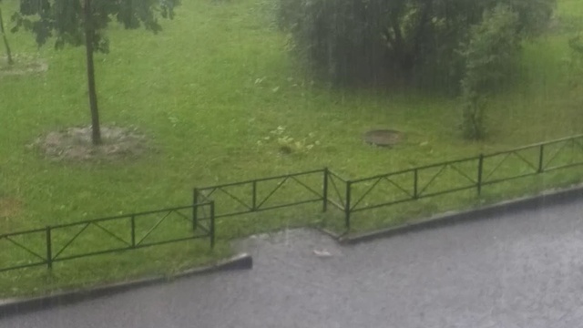 Сильный дождь.Льет как из ведра.