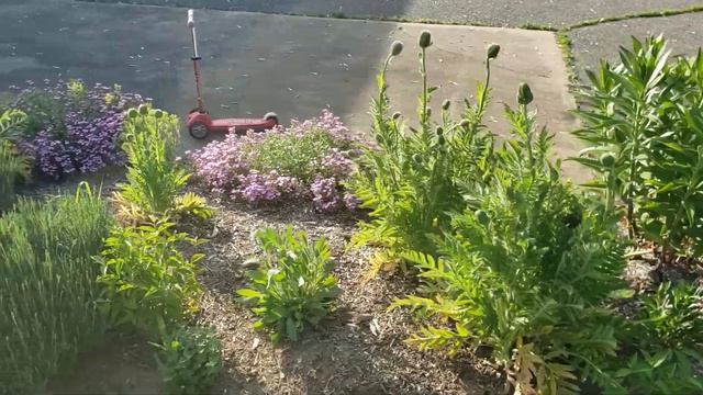 D3ad76807ceac2e13a2026e8738502c6