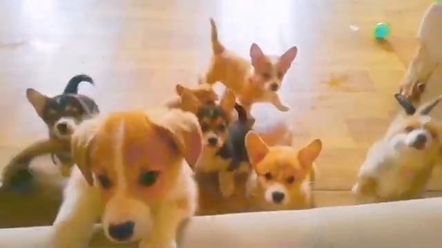 C17c3288e398e6e2722b396ccd1917de