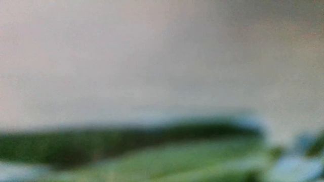 Я устала ходить, я устала ходить. По горячему снегу. Я устала любить, я устала любить(наброски)