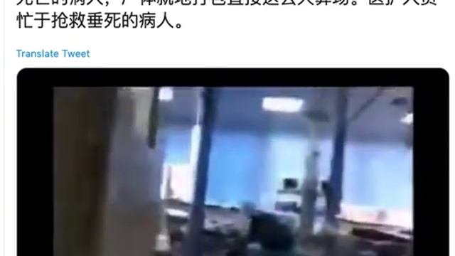 Update On Wuhan Fifth Hospital